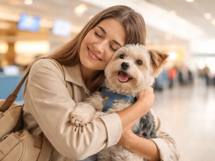 Agencia de viajes para mascotas – confianza y acompañamiento