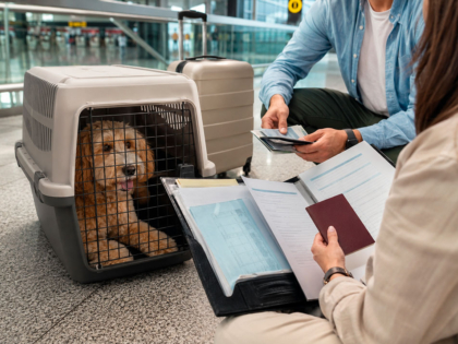 familia-preparando-el-viaje-internacional-de-su-perro-en-un-aeropuerto-de-Lima